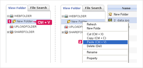 Figure 1. Paste Folders from the Site Tree