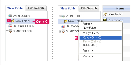 Figure 1. Copy Folders within the Folder View Area