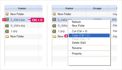 Figure 2. Copy Folder/File from the List