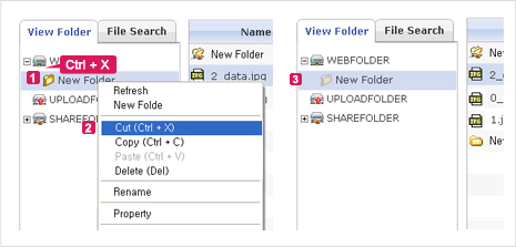 Figure 1. Cut Folder from the Site Tree