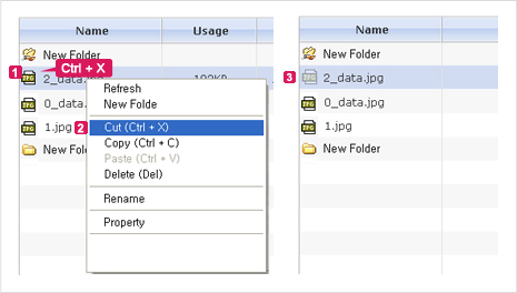 Figure 2. Cut Folder/File from the List