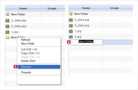 Figure 2. Rename File in the File List